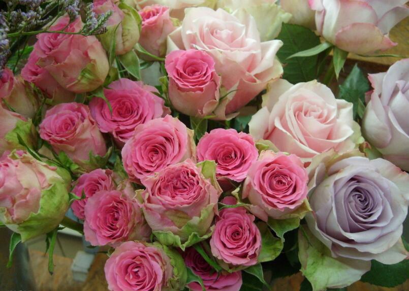 插花教程 | 插花構圖需要注意的問題