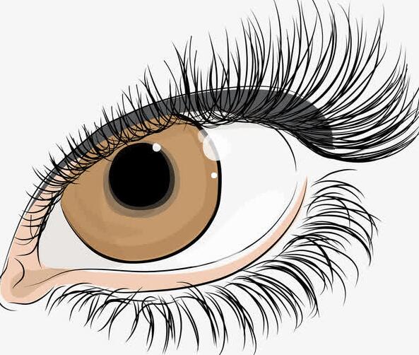 1591339902912152.jpg QQ截圖20200605144732.jpg