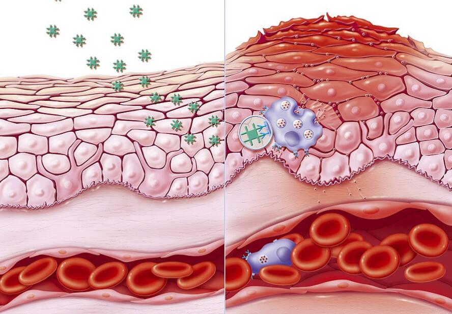 讓你的肌膚毛孔越來越細膩~