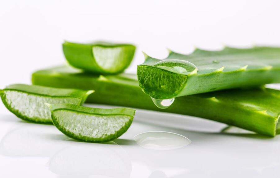 廣西美容學(xué)校：蘆薈如何美容護(hù)膚