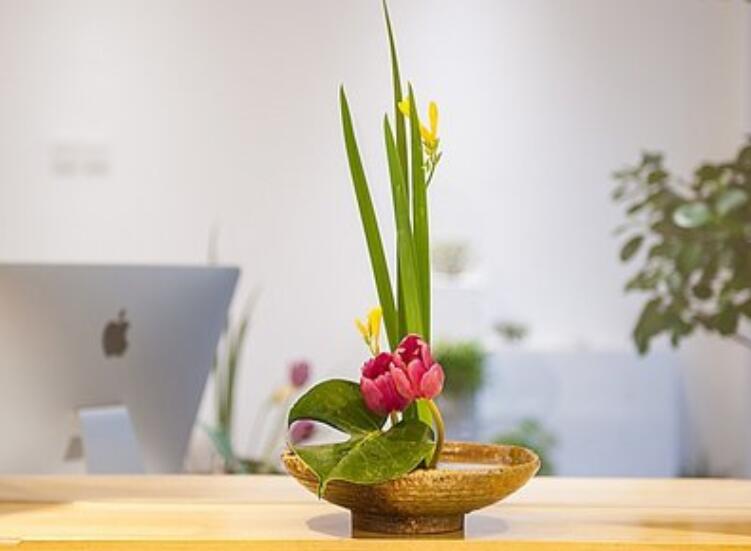 什么是盆式插花？南寧插花培訓(xùn)課程解析