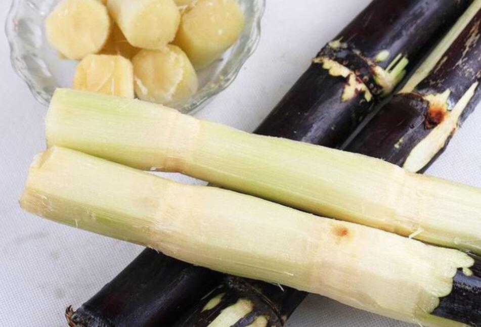 秋冬適合吃什么？南寧教美容養(yǎng)生的學(xué)校分享給你