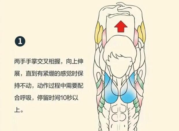 南寧美容師培訓(xùn)要學(xué)什么？背部護(hù)理就是其中一項(xiàng)