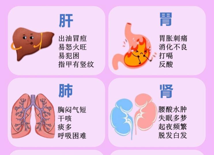 6大臟器保養(yǎng)指南，6款養(yǎng)生茶喝起來 ???