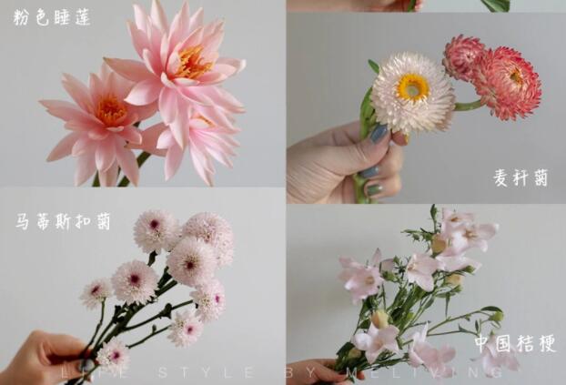 認識常見花朵的名稱，廣西插花學(xué)?；ㄋ嚺嘤?xùn)基礎(chǔ)