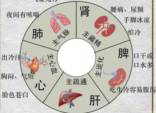 人體不同部位受寒的表現(xiàn)，廣西中醫(yī)美容培訓(xùn)分享