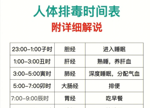人體排毒時(shí)間表，南寧美容專業(yè)學(xué)校詳細(xì)解說