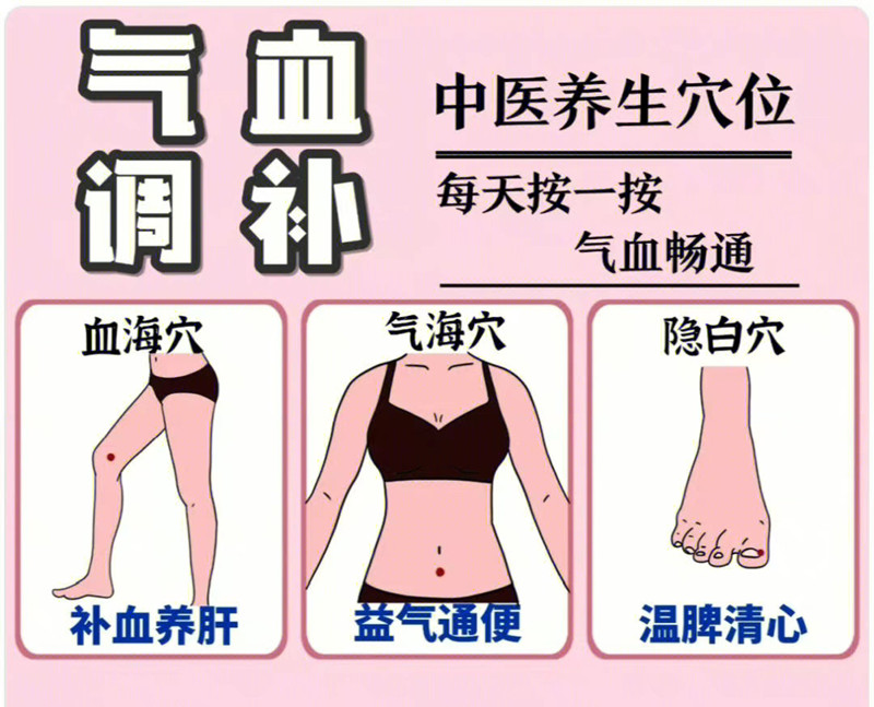 具有補(bǔ)氣血功能的穴位，南寧學(xué)美容中醫(yī)
