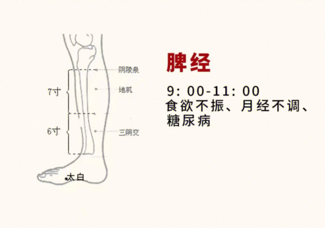 日常容易堵塞的身體部位，廣西美容基礎教學