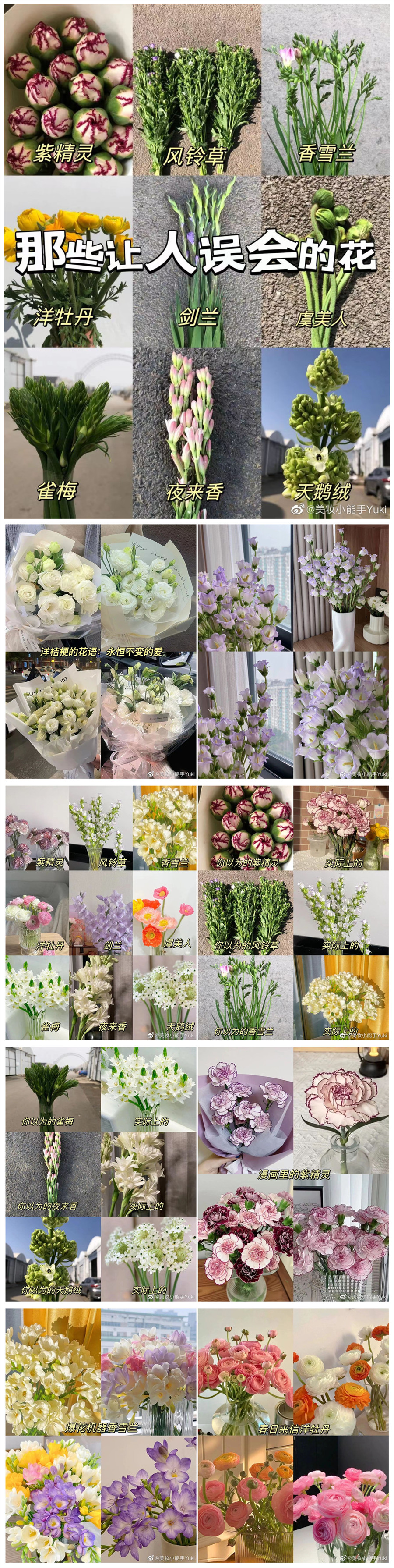 1677139027656144.jpg 16097969979078038456(1)_副本.jpg