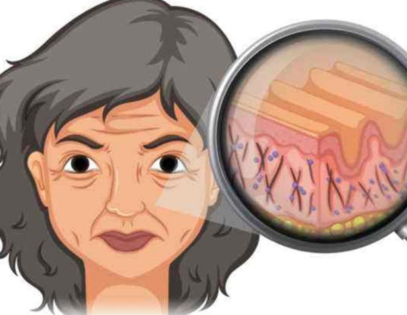 女性如何延緩衰老？南寧皮膚管理培訓班講解