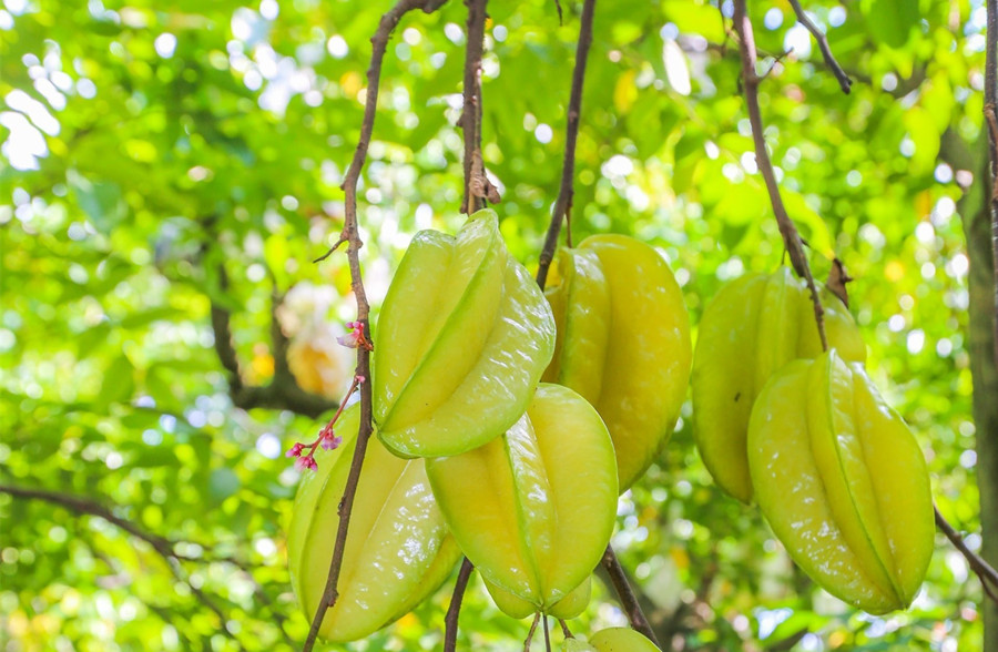 廣西美容護膚養(yǎng)顏班：春天吃什么水果好？