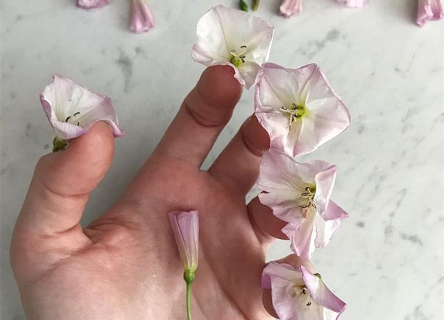 植物藝術(shù)美甲，南寧美甲造型設(shè)計培訓分享