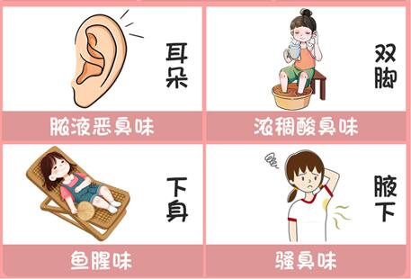 體味重的部位和緩解方法，廣西美容美體專業(yè)介紹