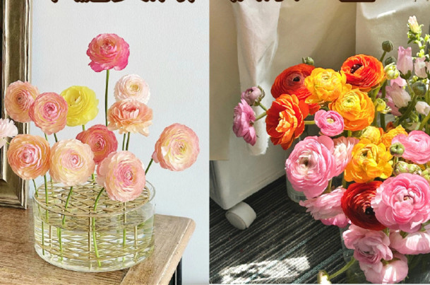 小眾但花語(yǔ)很美的花卉，南寧鮮花知識(shí)培訓(xùn)