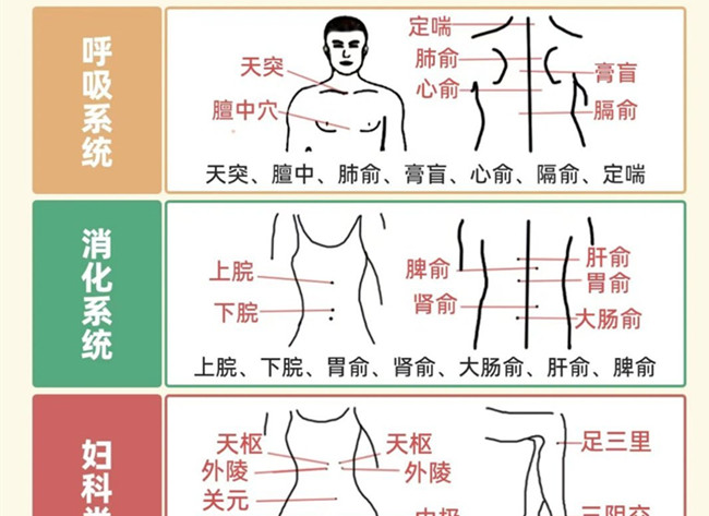 不同部位三伏貼艾灸作用，廣西美體中醫(yī)培訓