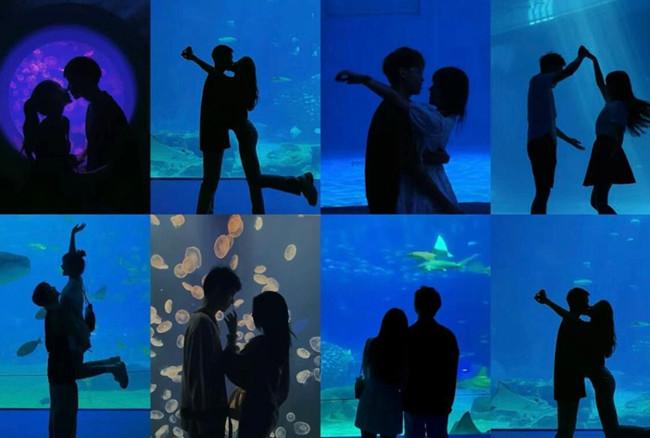 在海洋館怎么拍照？廣西人物形象設(shè)計專業(yè)支招