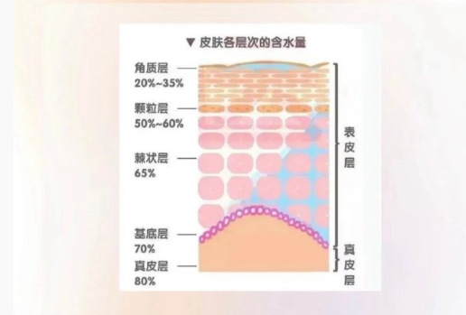 皮膚越補(bǔ)水越干？廣西美容護(hù)膚中心分析原因